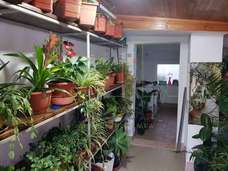 Casa individuala in oras. Zona linistita.